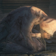 Vicar Amelia prays in Yharnam’s Grand Cathedral